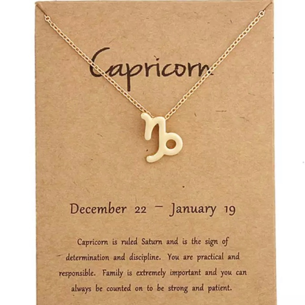 ♑️ Capricorn Zodiac Pendant Gold Chain Necklace